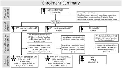 Maternal ART throughout gestation prevents caudate volume reductions in neonates who are HIV exposed but uninfected